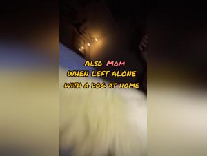 Zoophilia Video: An Exciting Experience with a Dog