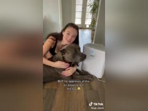 Extreme Bestiality: Zoophilia Video with a Dog