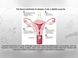 Discover the Art of Bestiality with our Girls and Dogs Documentary