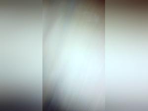 Bestiality: a woman and a dog in a forbidden relationship