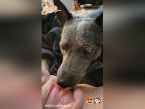 divine teen baise chien