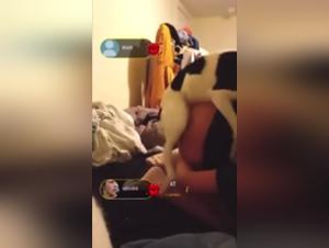 The Girl Gets Penetrated by Dog in a Wild Zoophile Session
