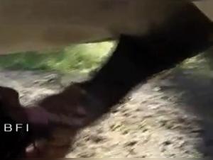 Tiefe Tier-Beischlaf: Hund-Sauger XXX Videos