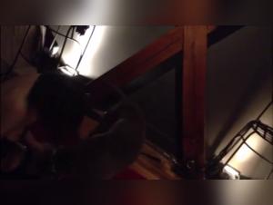 Bestiality: A submissive woman and her canine master