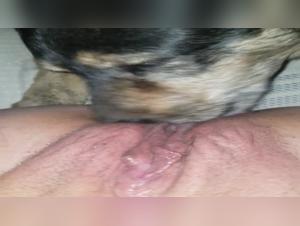 Dog and BBW in a bestiality sex video