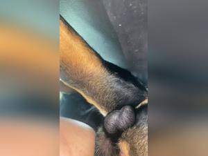 Exploring the Explicit World of Zoo Skool