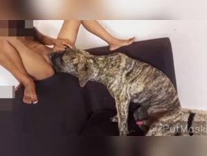 An expert dog tongue for a bestial experience