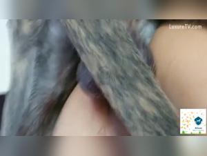 Hure mit Hund, Hardcore Creampie