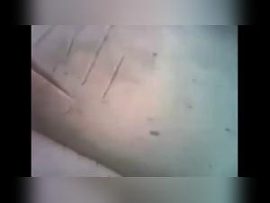 art of dog fucking woman