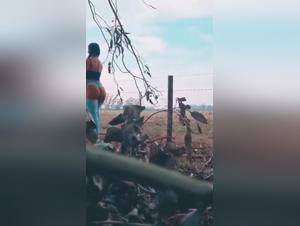 Bestiality Sex Video: Forbidden Intimacy Loop