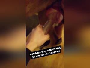 bestiality and animal porn