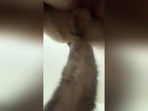 red hot sex with dogs, taboo desires fulfilled