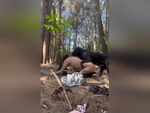 Perverted bestiality with tight pussy