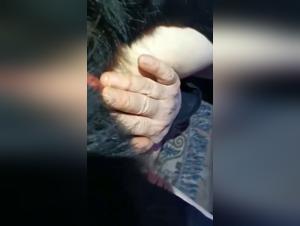 Wild battle between human and dog: an intense zoophilia video