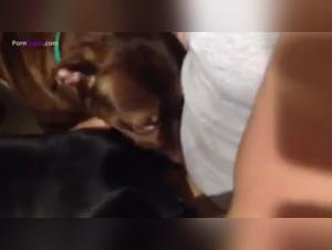 Bestiality Sex Video: Trans Woman and Her Dog - Part 2