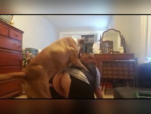 Forbidden Pleasures: Bestiality and Dog Sex