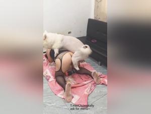 Perro folla a mujer mientras el hijo está ausente