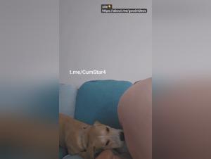 Sie wird von ihrem Hund in der Hundeposition geleckt