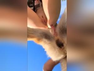 She Dog Fucks Outdoors USA