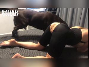 Chien défonce une salope