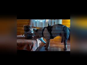 NightStarPrincess & Violett Lux: Bestiality Double Trouble with Horses - BST & KYNORA
