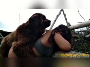 Zoofilia Tube: Il Mondo Erotico Animale su Zootubex