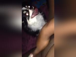 Black woman and dog: a beastly video not to be missed