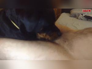 tierdomination und muvisex