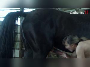 Forbidden Encounter: Sex with a Horse