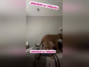 teen alone, raw lust, dog sex extreme