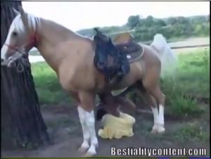 Woman subjected to a horse: a video of extreme zoophilia