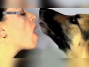 Primal Animal Instincts