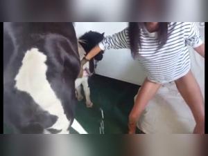 Bestiality Sex Videos: Discover the World of Zoophilia