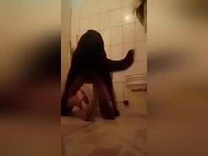 Dirty Dog Porn : Zoohamster, Actuaciones XXX
