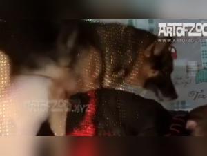 Delving into Kinkcafe's Boundaries