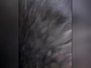 Intimate Video with a Dog