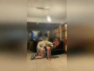 Sex with Dog Video - Man/Woman/Dog