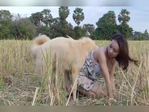 Asian Shy Girl and Her Canine Companion: A Unique Sexual Experience