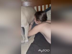 Dog fucks with passionate woman and their Alyzoo too