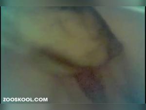 ZooSkool Katarina Baise Chien Vidéo