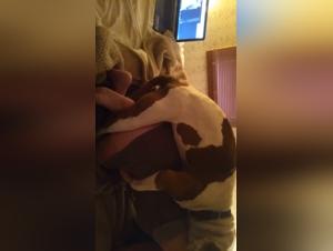 Introduction to bestiality: a woman discovers love with a dog