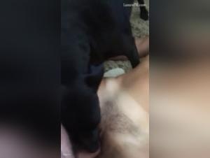 Bestiality sex: a couple and their dog in hot videos