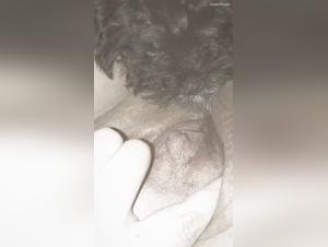 Exploring ArtofZootography: Boundaries & Desire