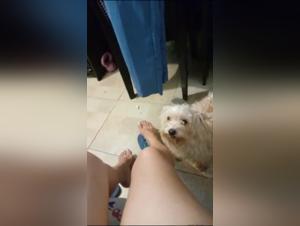 Dog Sex Video: Woman and Dog in Extreme Bestiality Scene