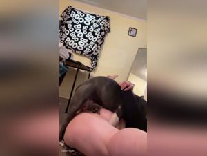 intimate exploration : bbw webcam