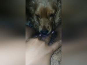 Bestiality: Latina and her dog