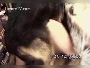 Latina Salope Chien Pt3