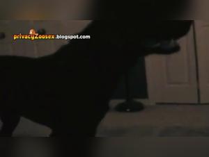 Hotwife Training Pt 2: Dog Fucking