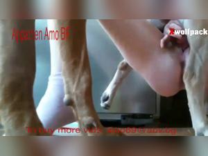 Appartien Fucks Cow (MILF)