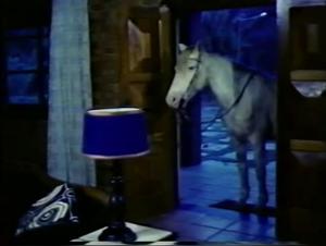 Woman and Horse - Forbidden Scenes (1985) - Bestiality and Extreme